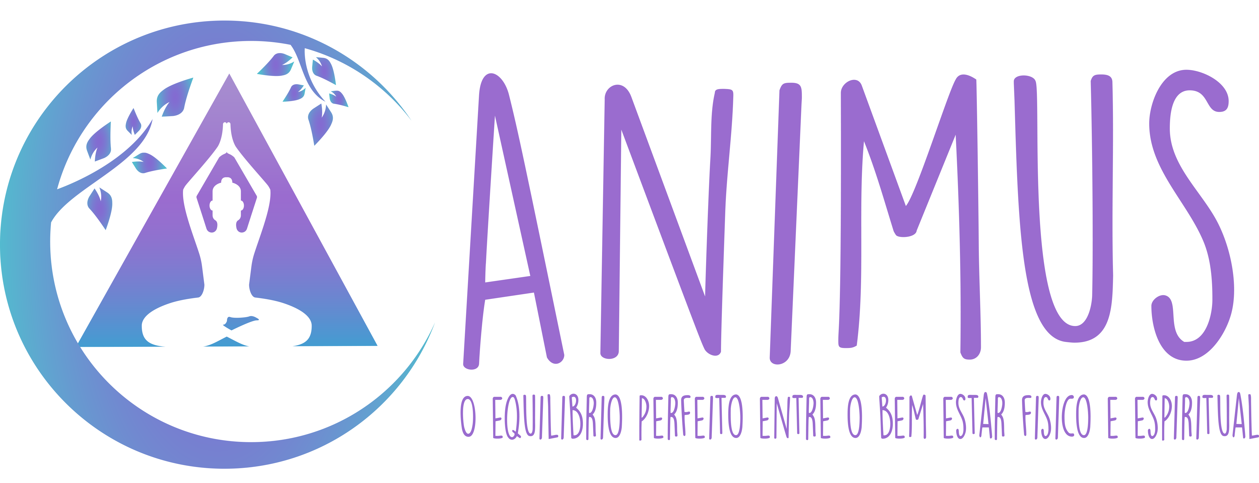 Animus Estúdio